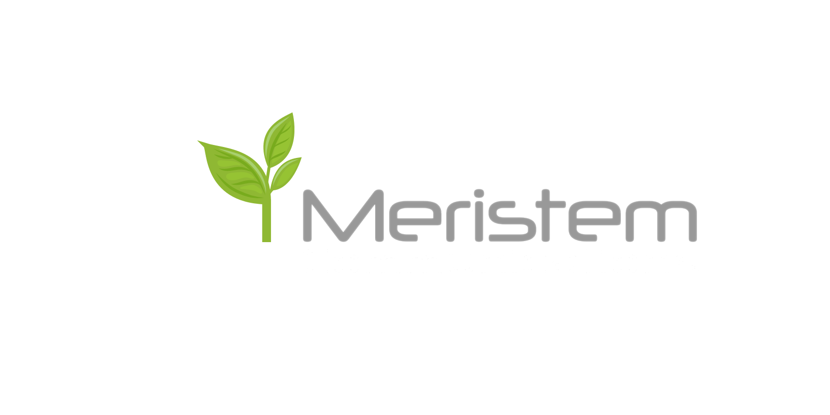 Meristem Communications